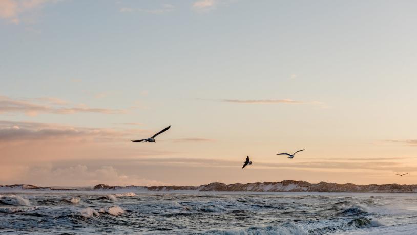 Klitmøller ved skumringstid