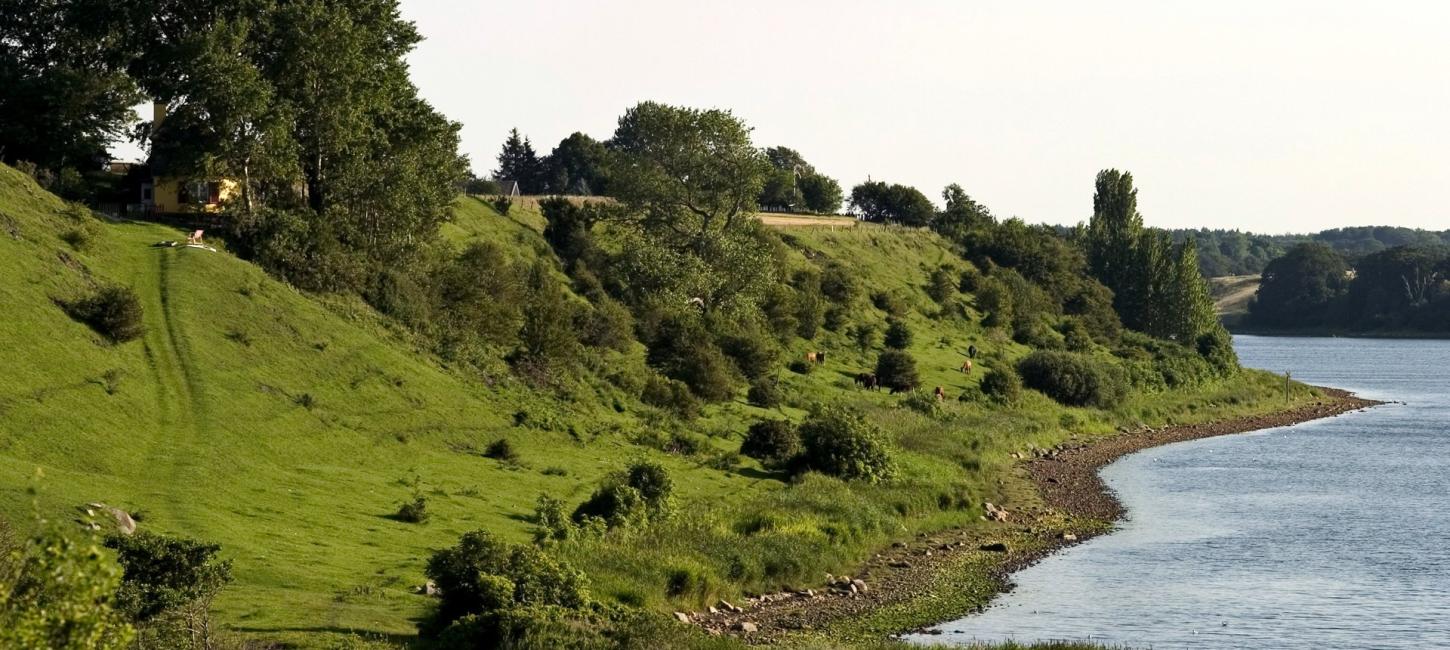 Naturfoto af Bramsnæs ved Lammefjorden